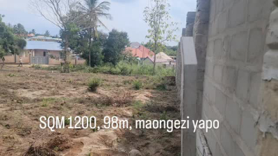 Kiwanja kinauzwa Tambalale, Tabora