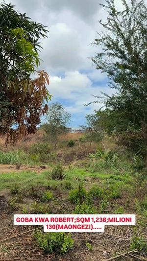Kiwanja kinauzwa Goba Kwa Robert, Dar Es Salaam (1238 sqm) Kiwanja kinauzwa Goba Kwa Robert, Dar Es Salaam (1238 sqm)