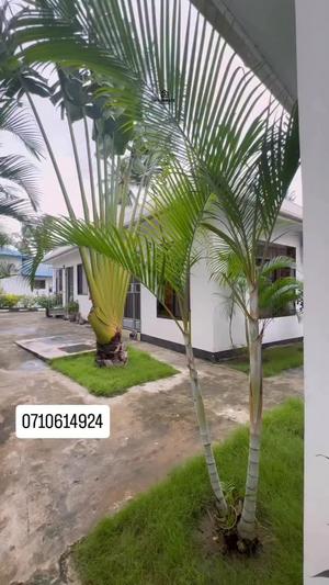 1 Bedroom Apartment for Rent in Ubungo Kibo, Dar Es Salaam
