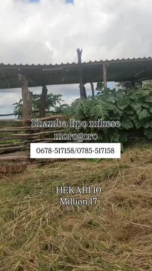 Shamba linauzwa Mikese Nyan'gwambe, Morogoro (10 acre)