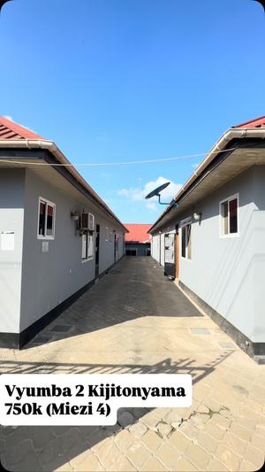 2 Bedrooms House/Apartment for Rent in Kijitonyama, Dar Es Salaam