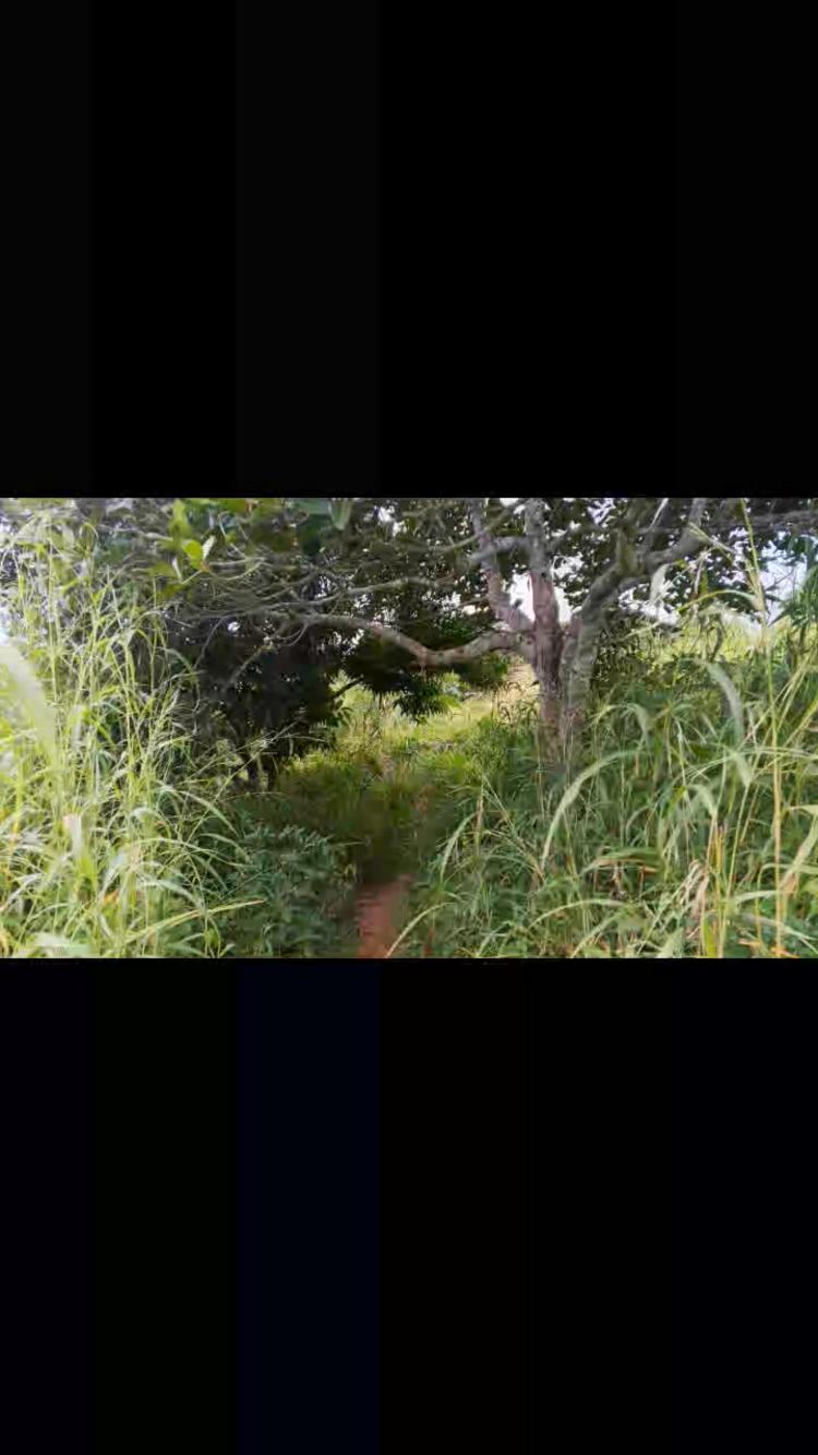 video thumbnail video thumbnail