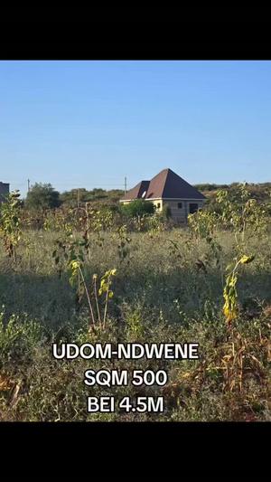 Plot for sale in Udom Ndwene, Dodoma sqm 500 Plot for sale in Udom Ndwene, Dodoma sqm 500