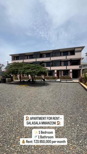 1 Bedroom Apartment for Rent in Salasala Mwanzoni, Dar Es Salaam 1 Bedroom Apartment for Rent in Salasala Mwanzoni, Dar Es Salaam