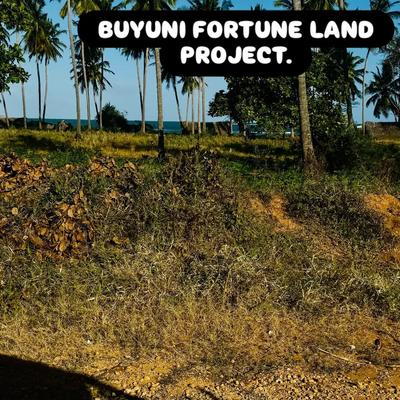 Viwanja vinauzwa Buyuni, Dar Es Salaam Viwanja vinauzwa Buyuni, Dar Es Salaam
