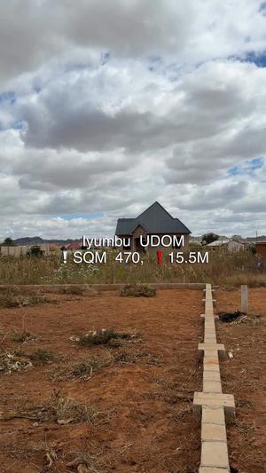 Kiwanja kinauzwa Iyumbu Mtaa Wa Udom, Dodoma (470 sqm) Kiwanja kinauzwa Iyumbu Mtaa Wa Udom, Dodoma (470 sqm)