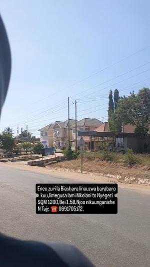 Kiwanja kinauzwa Nyegezi Mkolani, Mwanza sqm 1200 Kiwanja kinauzwa Nyegezi Mkolani, Mwanza sqm 1200