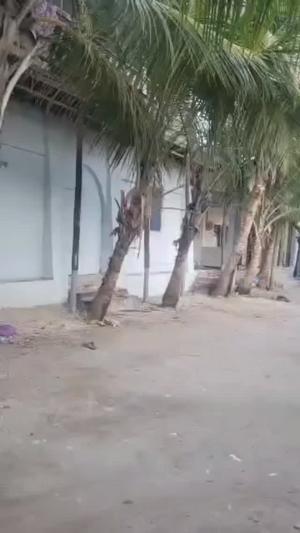 Nyumba inauzwa Magomeni Mikumi, Dar Es Salaam Nyumba inauzwa Magomeni Mikumi, Dar Es Salaam