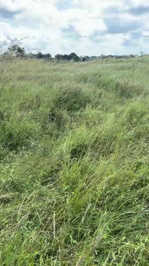 Beach Plot for Sale in Kigamboni Puna, Dar Es Salaam (2 acre)