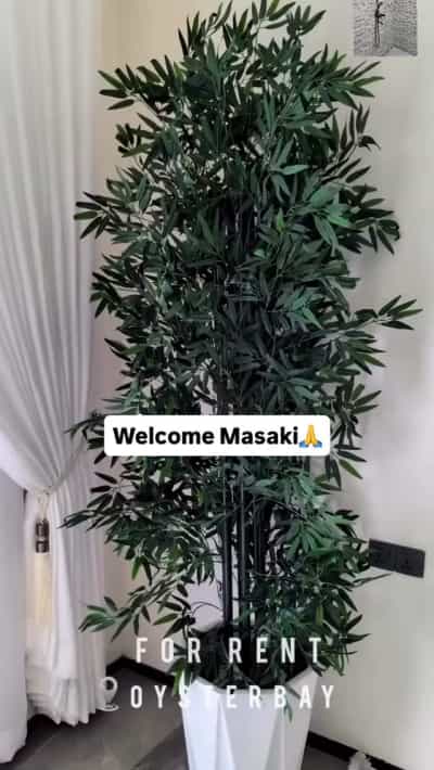 Apartment (Furnished) ya vyumba viwili inapangishwa Oyster Bay, Dar Es Salaam