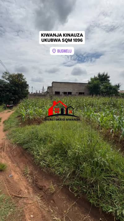 Kiwanja kinauzwa Buswelu, Mwanza