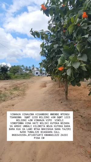 Residential Plots for Sale in Mikwambe Mtengu Toangoma, Dar Es Salaam (1239 sqm)