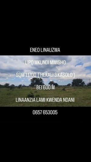 Commercial Plot for Sale in Dodoma Road (11700 sqm)