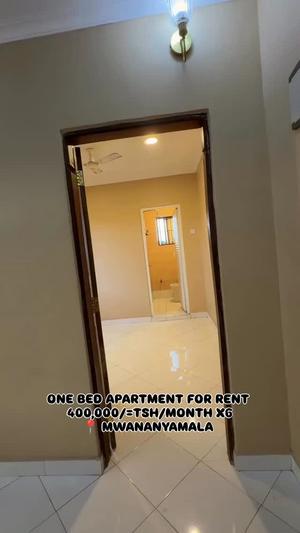 1 Bedroom Apartment for Rent in Mwananyamala, Dar Es Salaam 1 Bedroom Apartment for Rent in Mwananyamala, Dar Es Salaam