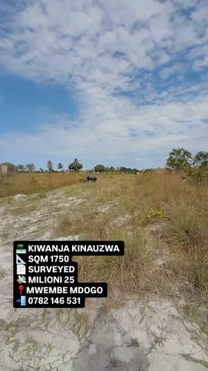 Kiwanja kinauzwa Kigamboni Mwembe Mdogo, Dar Es Salaam sqm 1750 Kiwanja kinauzwa Kigamboni Mwembe Mdogo, Dar Es Salaam sqm 1750
