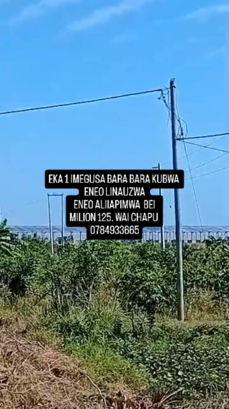 media -1 media -1