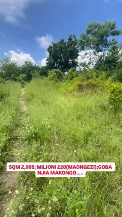 Kiwanja kinauzwa Goba Njia Makongo, Dar Es Salaam (2000 sqm)