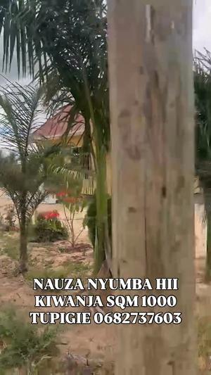 Nyumba ya vyumba vitatu inauzwa Michese, Dodoma (1500 sqm)
