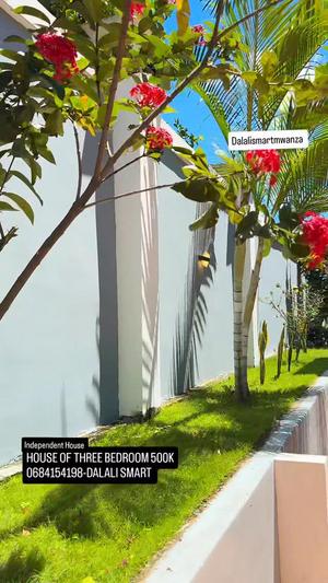 3 Bedrooms House for Rent in Mwanza
