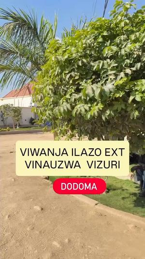 Kiwanja kinauzwa Ilazo, Dodoma sqm 700