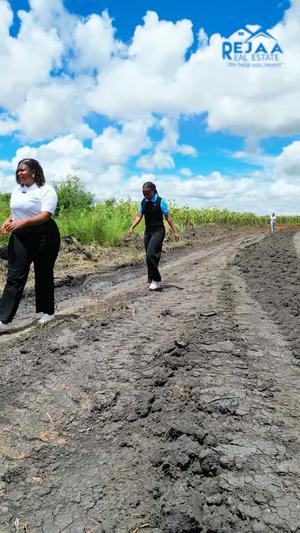 Plots for sale in Chamwino, Dodoma sqm 400 Plots for sale in Chamwino, Dodoma sqm 400