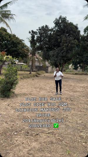 Kiwanja kinauzwa Makongo Juu, Dar Es Salaam sqm 930