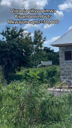 Viwanja vinauzwa Mbutu Mkwajuni, Tabora (590 sqm)