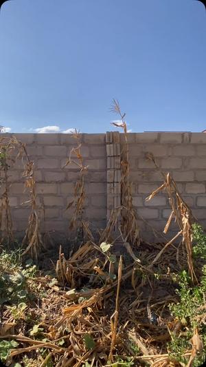 Nyumba ya vyumba vinne inauzwa Ndachi, Nkuhungu, Dodoma (600 sqm) Nyumba ya vyumba vinne inauzwa Ndachi, Nkuhungu, Dodoma (600 sqm)