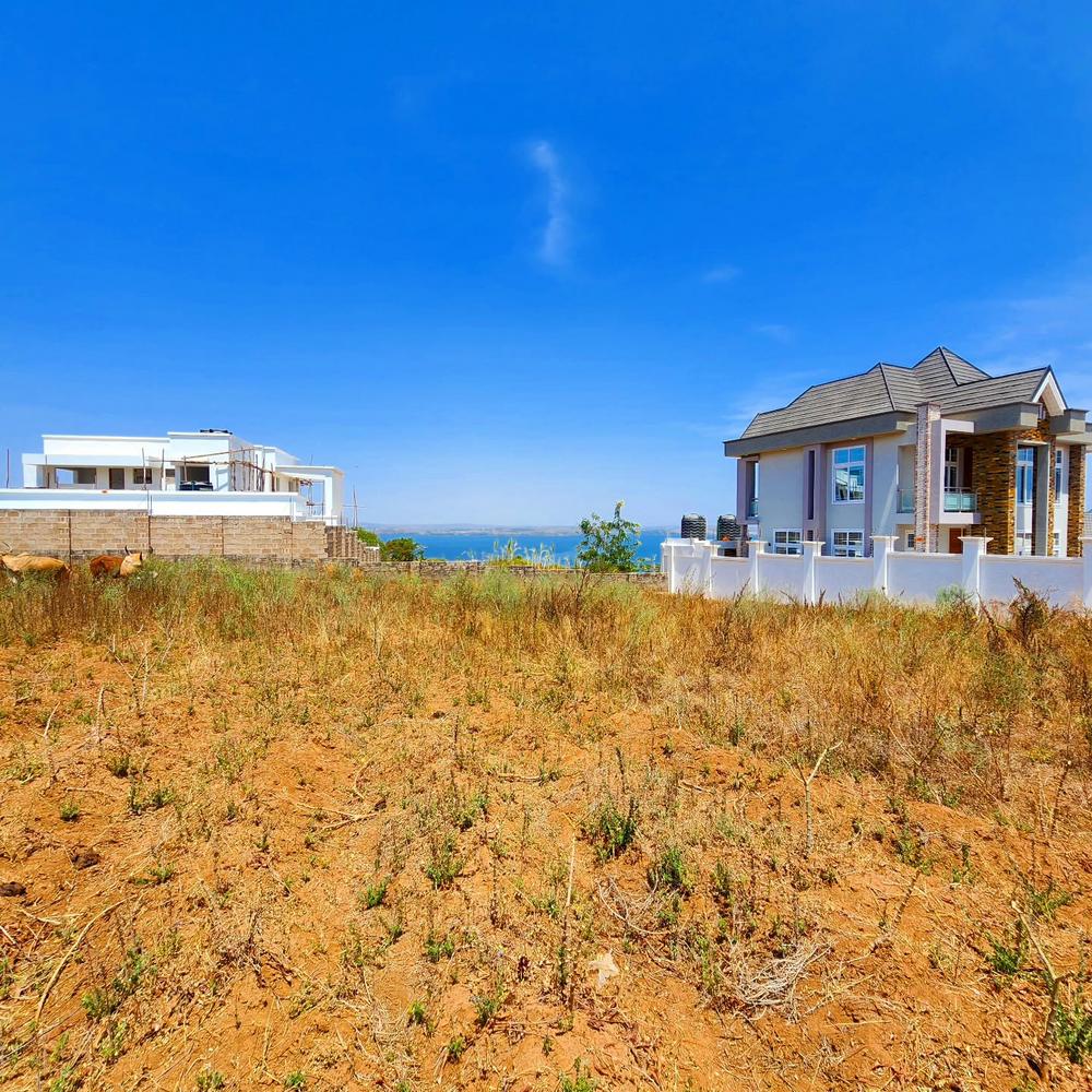media -4 media -4