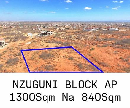 Kiwanja kinauzwa Nzuguni A Ushwani, Dodoma (1300 sqm)