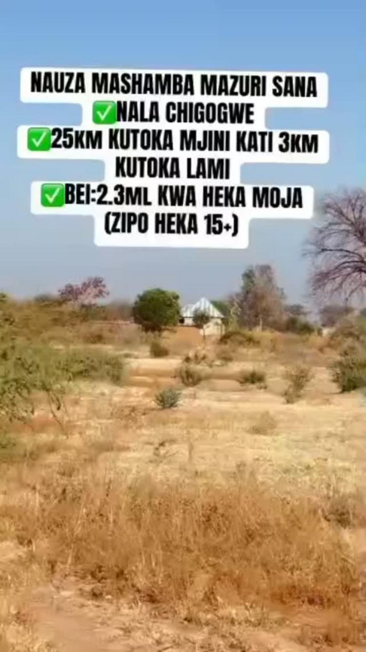 media -1 media -1