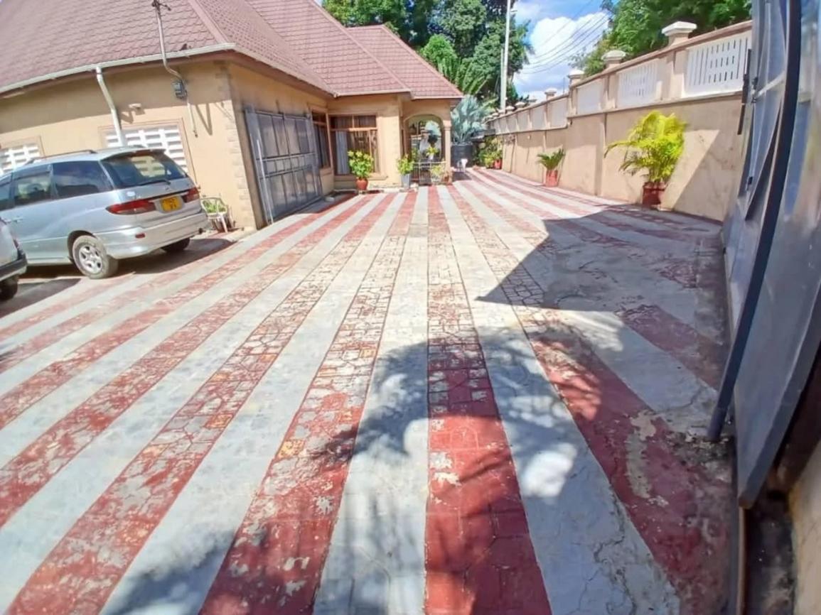 media -3