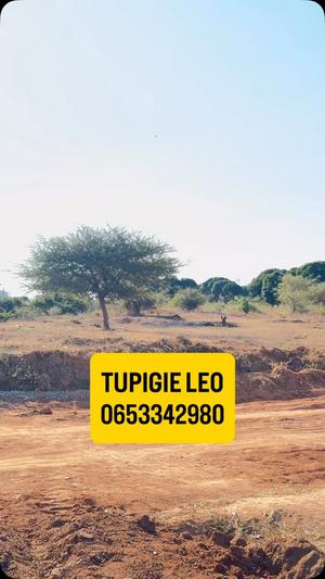 Kiwanja kinauzwa Medeli, Dodoma sqm 2000 Kiwanja kinauzwa Medeli, Dodoma sqm 2000
