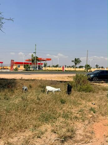 Residential Plot for Sale in Dodoma Mjini Mtumba Mji Wa Kiserikali Cha Kwanza Lami (3070 sqm) Residential Plot for Sale in Dodoma Mjini Mtumba Mji Wa Kiserikali Cha Kwanza Lami (3070 sqm)