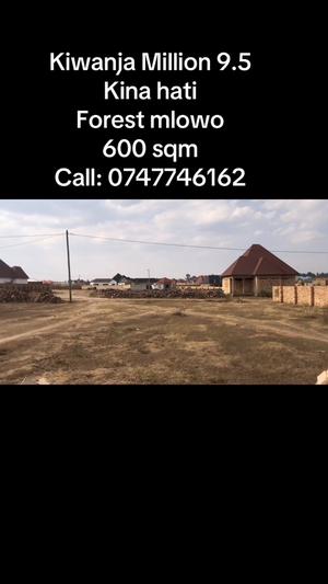 Residential Plot for Sale in Mlowo, Songwe (600 sqm) Residential Plot for Sale in Mlowo, Songwe (600 sqm)