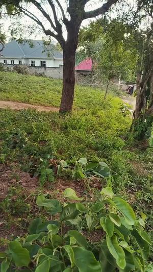 Kiwanja kinauzwa Goba Mageti, Dar Es Salaam sqm 1232 Kiwanja kinauzwa Goba Mageti, Dar Es Salaam sqm 1232
