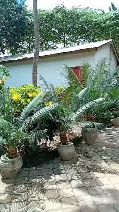 Nyumba ya vyumba viwili inapangishwa Kigamboni Geza Ulole, Dar Es Salaam