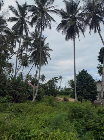 Kiwanja kinauzwa Fuoni Michenzani, Zanzibar - Unguja South sqm 2850 Kiwanja kinauzwa Fuoni Michenzani, Zanzibar - Unguja South sqm 2850