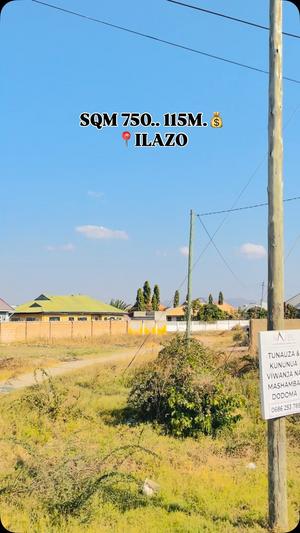 Residential Plot for Sale in Ilazo West, Dodoma (750 sqm)