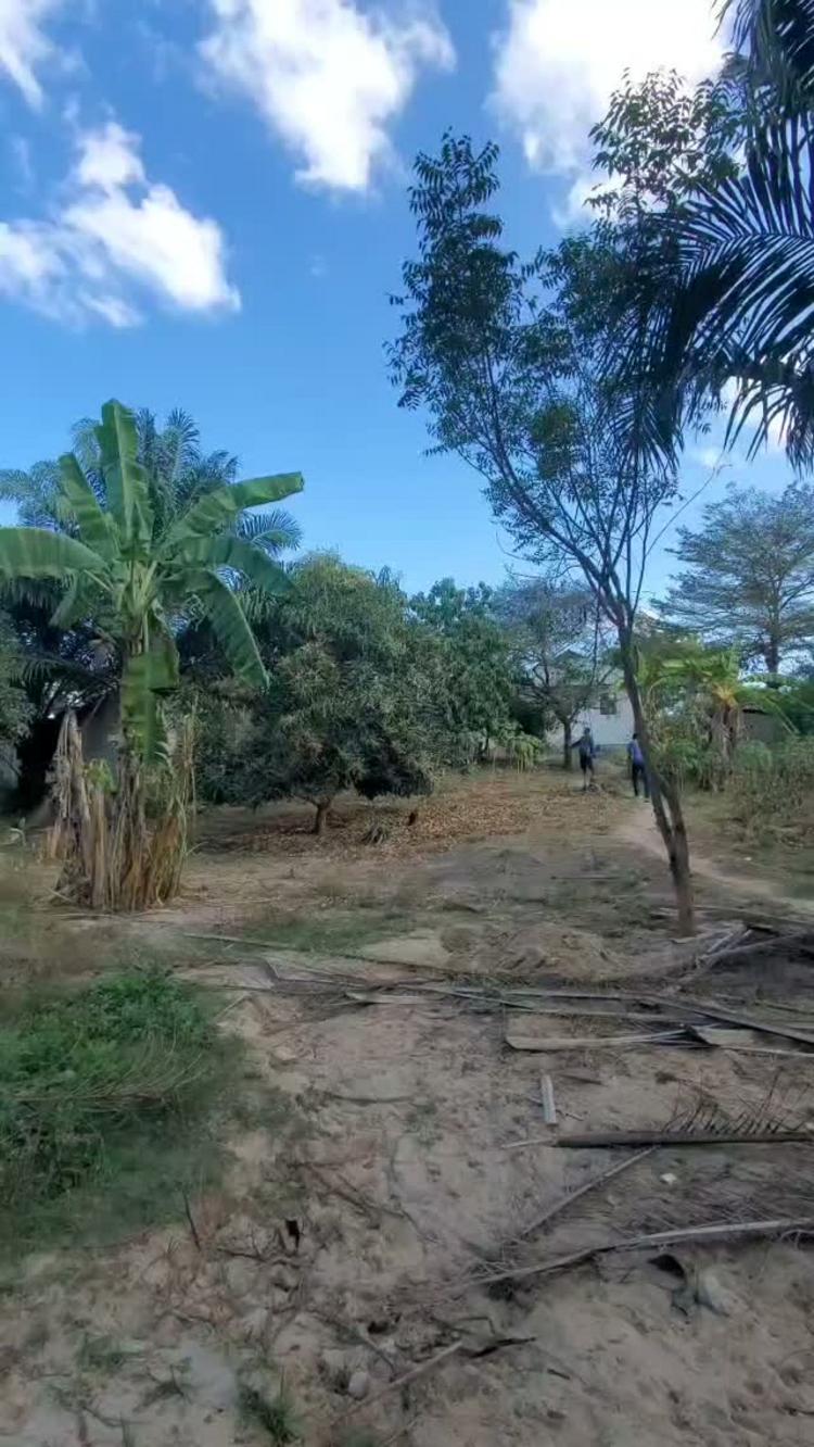  media -1