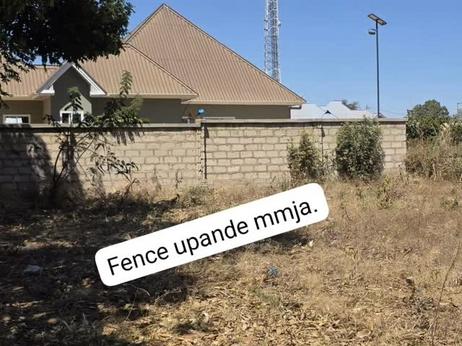 Commercial Plot for Sale in Udom Nghonghonha Senta, Dodoma (700 sqm)