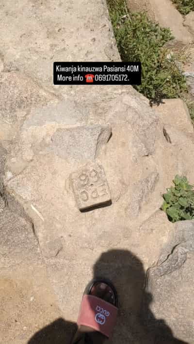 Kiwanja kinauzwa Pasiansi, Mwanza (600 sqm)