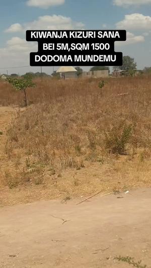Residential Plot for Sale in Mundemu, Dodoma (1500 sqm)