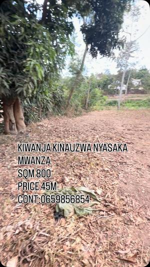 Residential Plot for Sale in Nyasaka, Mwanza (800 sqm) Residential Plot for Sale in Nyasaka, Mwanza (800 sqm)
