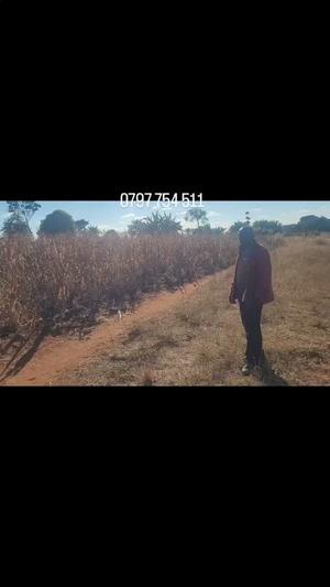Kiwanja kinauzwa Mletele, Ruvuma Kiwanja kinauzwa Mletele, Ruvuma