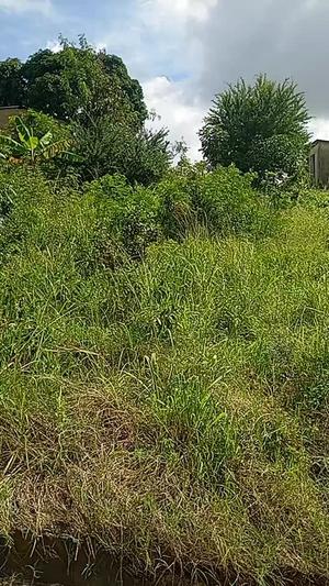 Kiwanja kinauzwa Goba Nashpark, Dar Es Salaam sqm 600