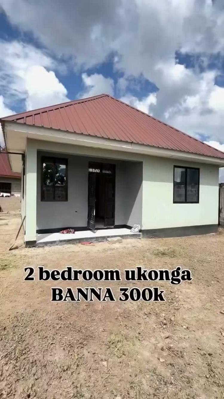 media -1 media -1