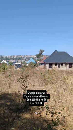Kiwanja kinauzwa Buswelu, Mwanza (1100 sqm)
