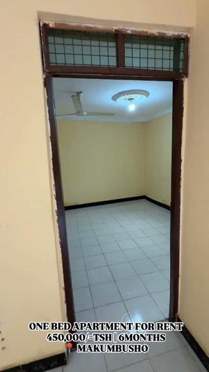 Apartment ya chumba kimoja inapangishwa Makumbusho, Dar Es Salaam