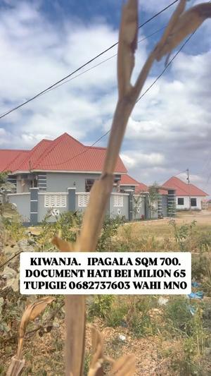 Plot for sale in Dodoma sqm 750 Plot for sale in Dodoma sqm 750